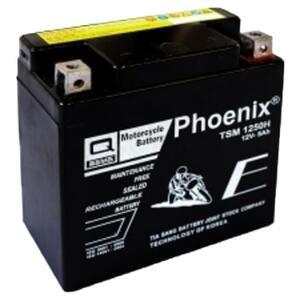 Ắc quy cho xe máy Phoenix TIBACO TSM 1250H